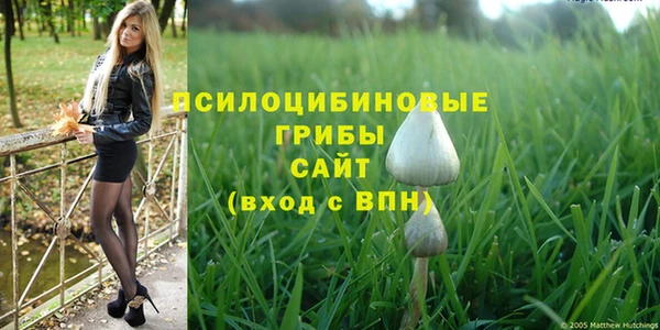 спайс Алексин