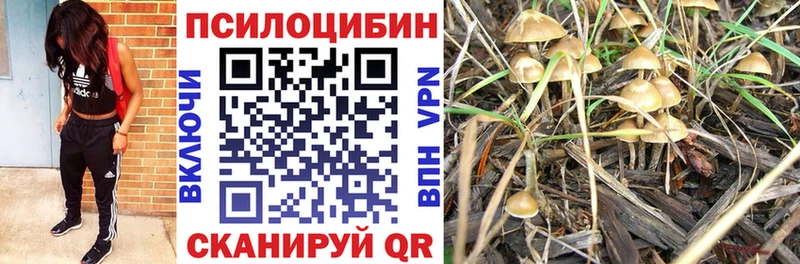 Галлюциногенные грибы Psilocybe  мориарти наркотические препараты  Ишим  хочу наркоту 