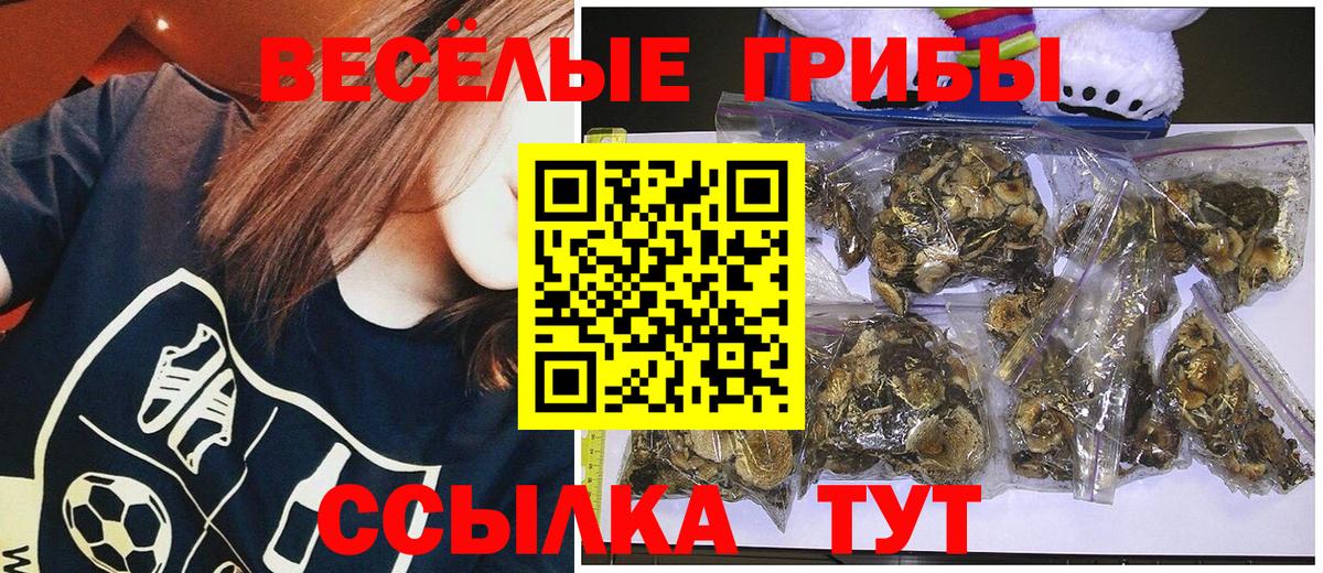 Псилоцибиновые грибы Psilocybine cubensis  Вход с VPN  Ишим 