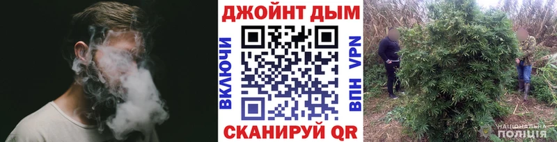 купить наркотики сайты  Ишим  Бошки Шишки AK-47 